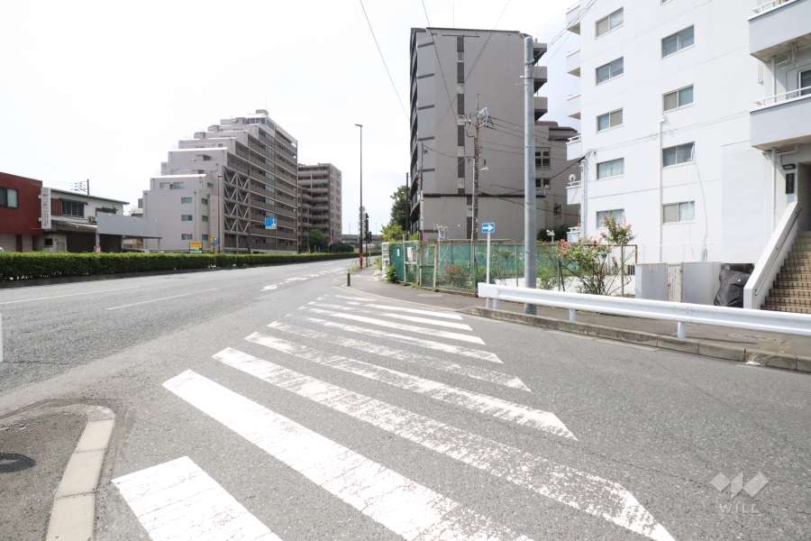 敷地東側の前面道路(北東側から)