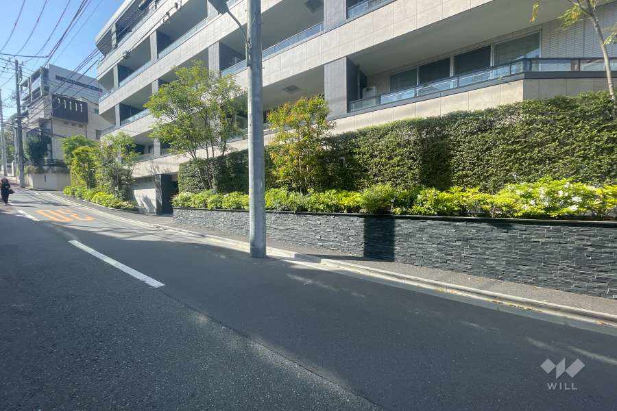 敷地の南側前面道路（東側から）