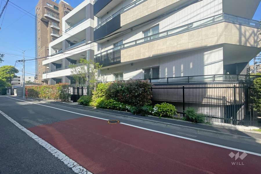 敷地の西側前面道路（南側から）