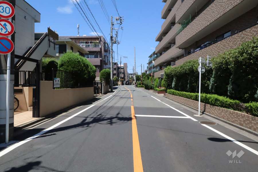 敷地西側の前面道路（南側から）