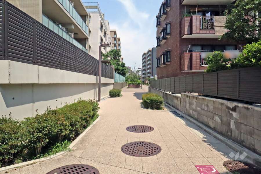敷地の東側道路（南側から）