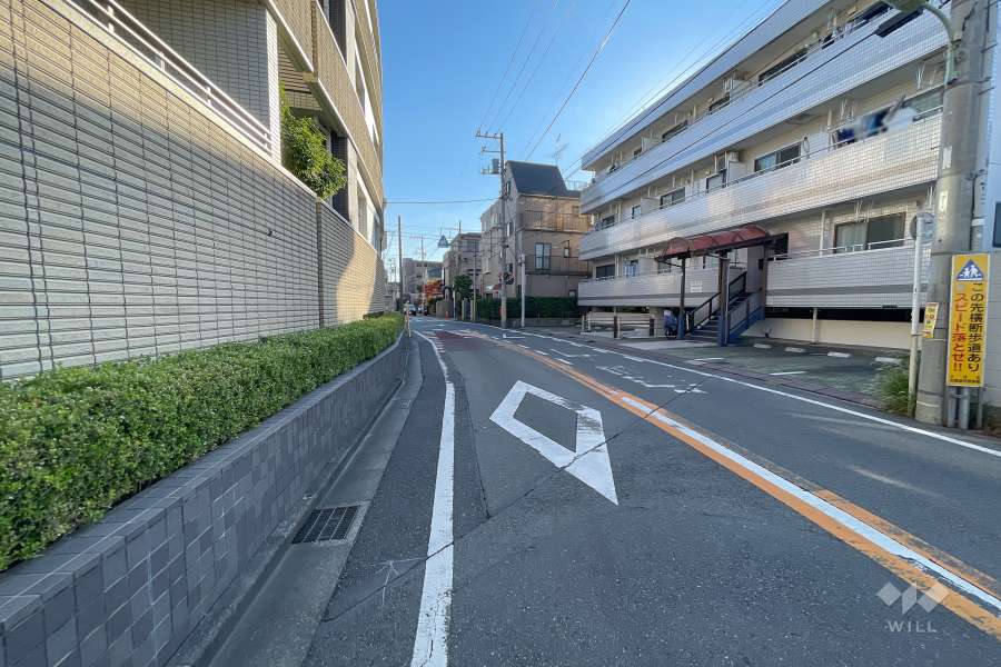 敷地の西側前面道路（北側から）