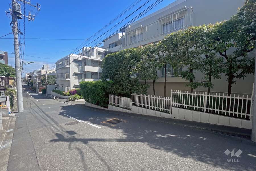 敷地北側前面道路（西側から）