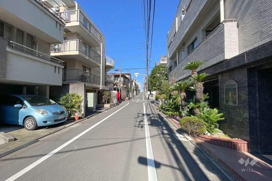 敷地の西側前面道路（北側から）