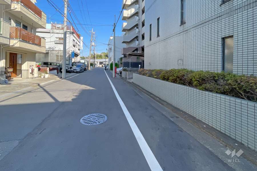 敷地北側の前面道路（西側から）