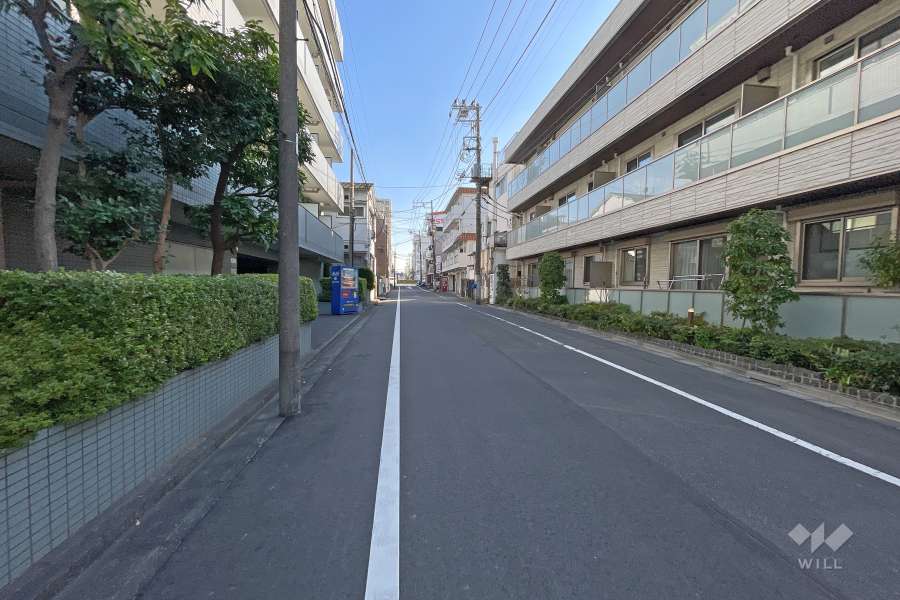 敷地西側の前面道路（南側から）