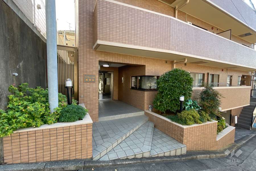 エントランスアプローチ