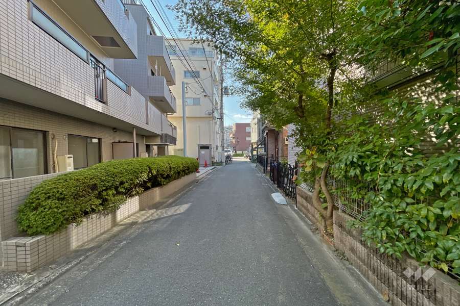 敷地北西側の前面道路（北東側から）　