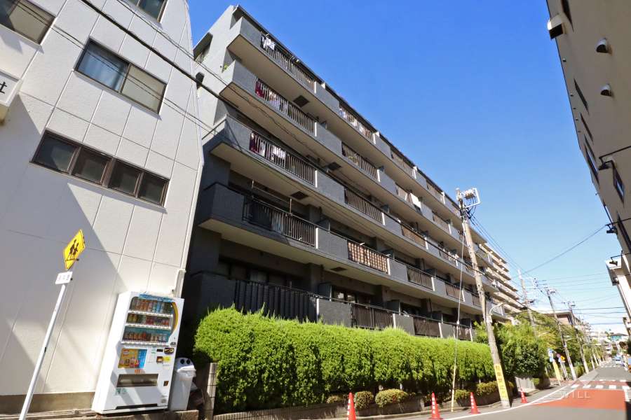 ベルシャトゥ仲池上の外観(南西側から)