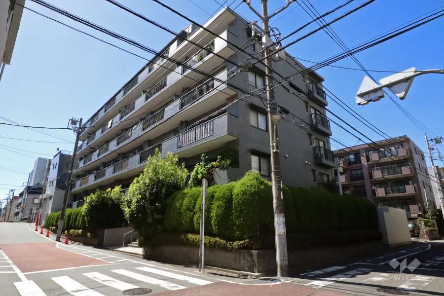 ベルシャトゥ仲池上の外観(南東側から)