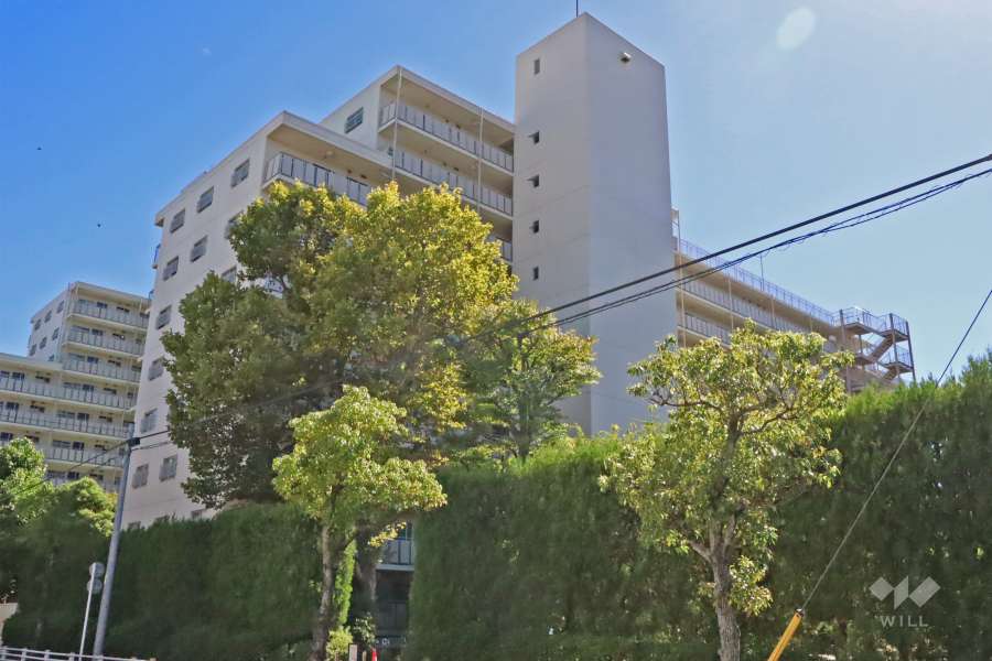 池上パークファミリア2号棟の外観（北東側から）