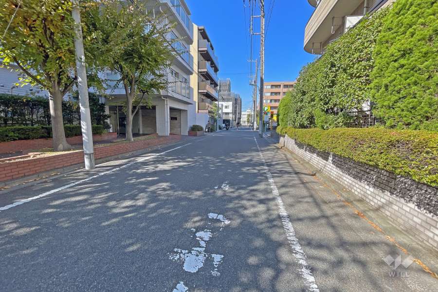 敷地東側の前面道路（南側から）