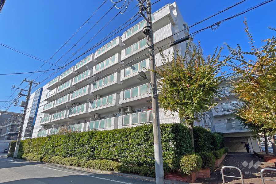 メイゾン仲池上の外観（南東側から）