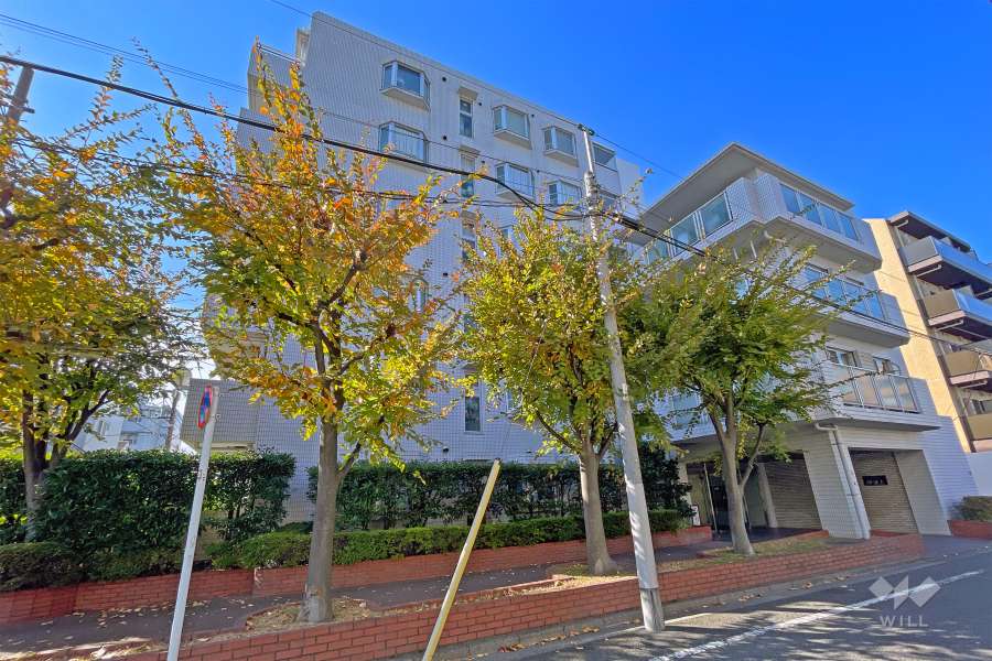 メイゾン仲池上の外観（南東側から）