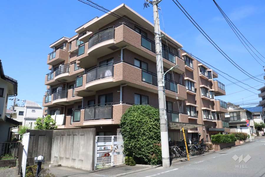 朝日クレスパリオ仲池上の外観(東側から)