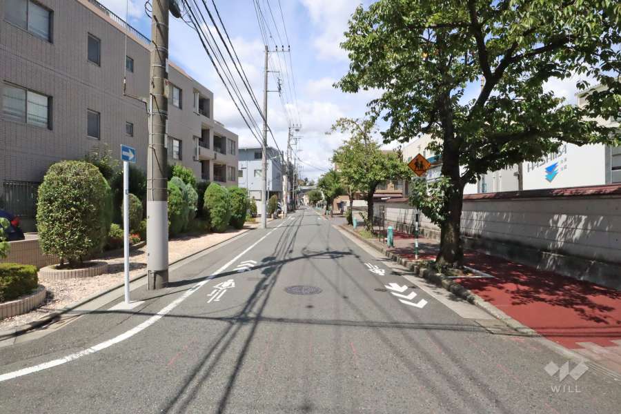 敷地東側の前面道路（南側から）