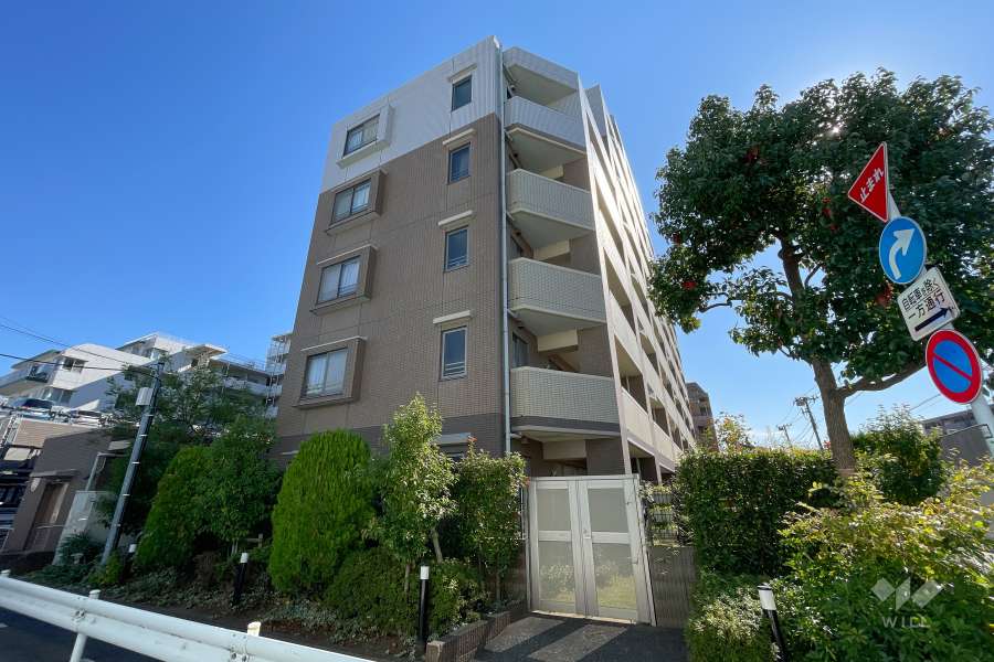 ライオンズガーデン仲池上の外観（北側から）