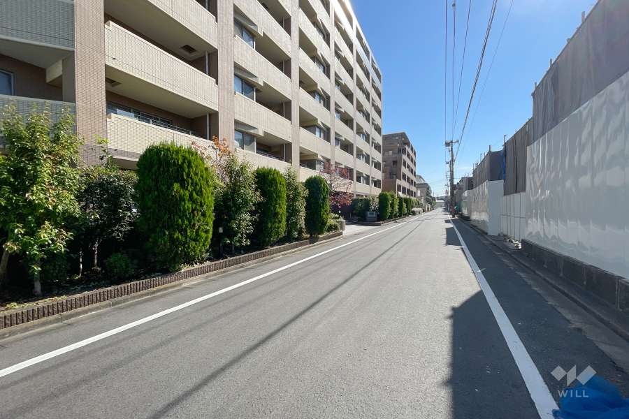 敷地西側の前面道路（北側から）