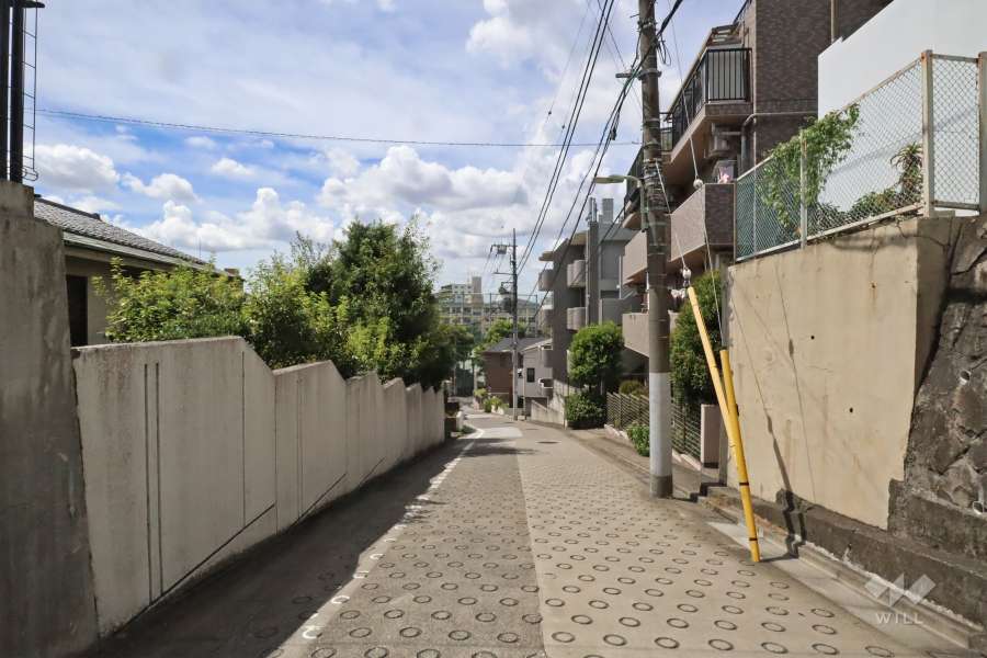 敷地南側の前面道路（東側から）