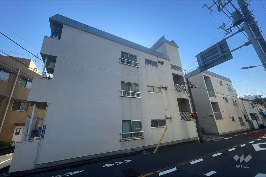 リヴイン共進仲六郷の外観（北東側から）