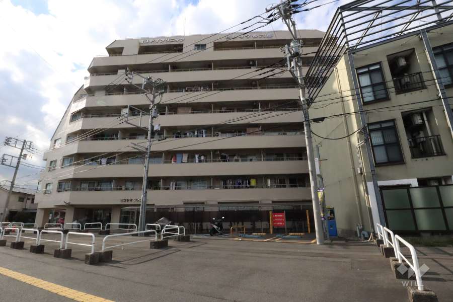 ビレッタ仲六郷の外観（東側から）