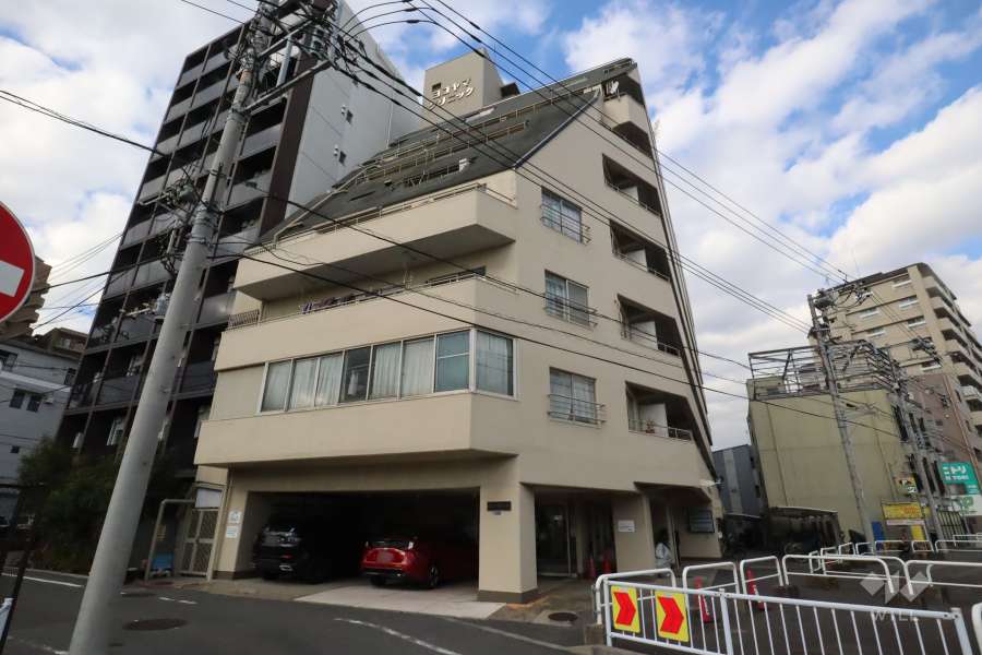 ビレッタ仲六郷の外観（南東側から）