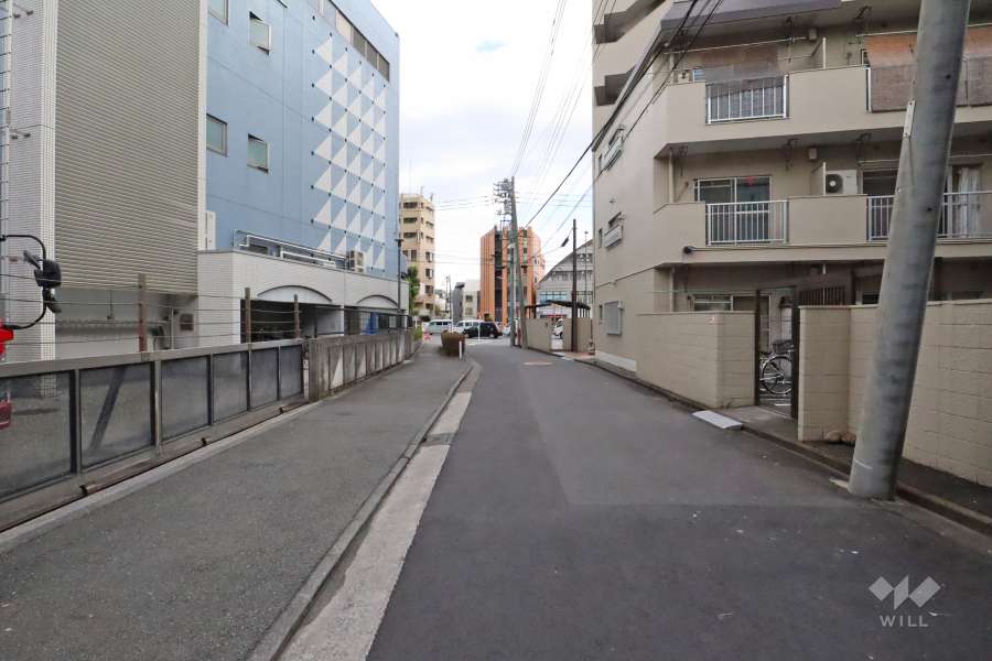 敷地北側の前面道路（西側から）