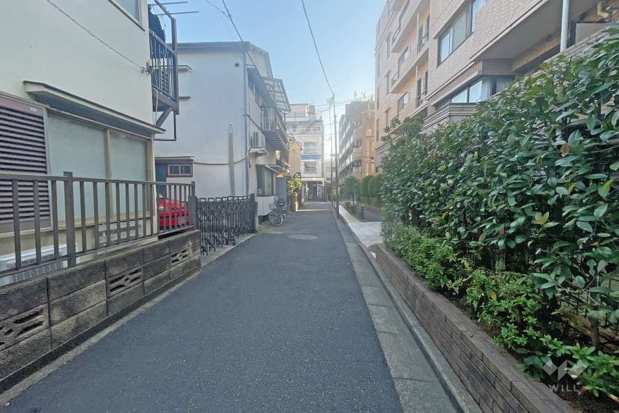 敷地東側の前面道路（北側から）