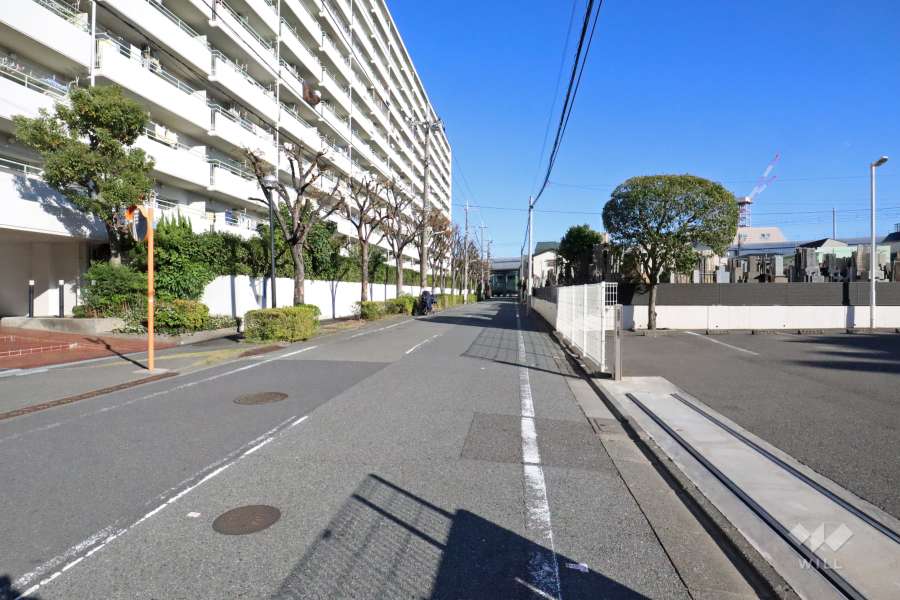 敷地南側の前面道路（西側から）