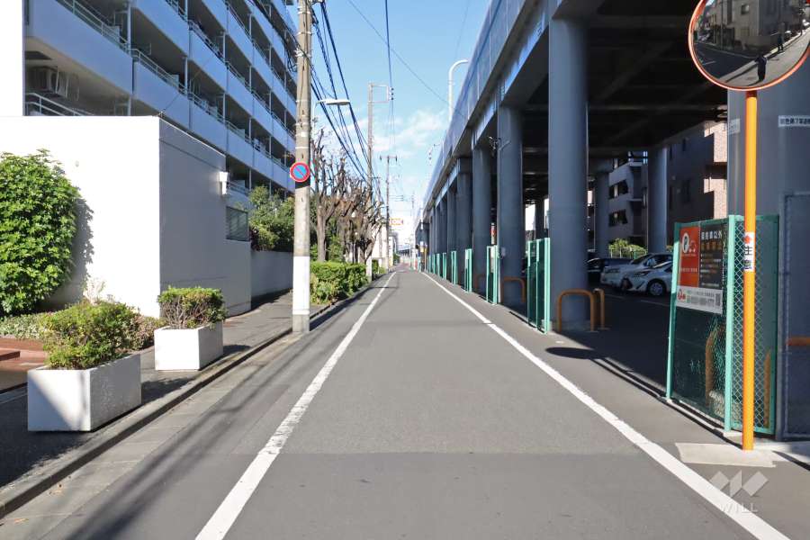 敷地南東側の前面道路（南西側から）