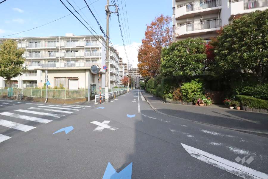 敷地西側の前面道路　