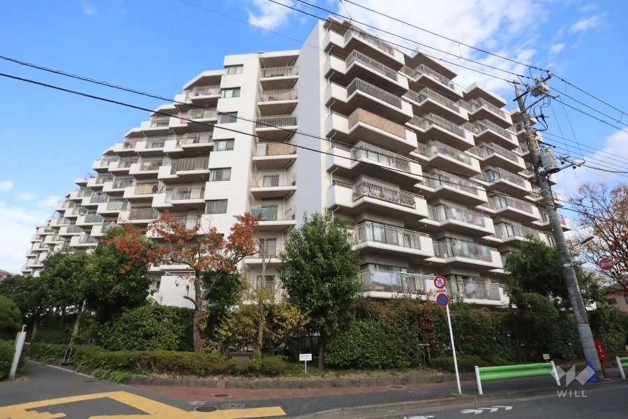 ルネ蒲田ガーデンステイツの外観(南西側から)　　