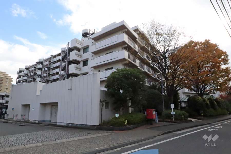 ルネ蒲田ガーデンステイツの外観(北西側から)　