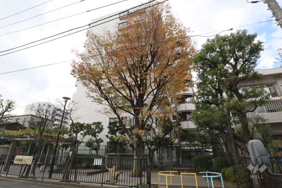 ルネ蒲田ガーデンステイツの外観(北東側から)　　