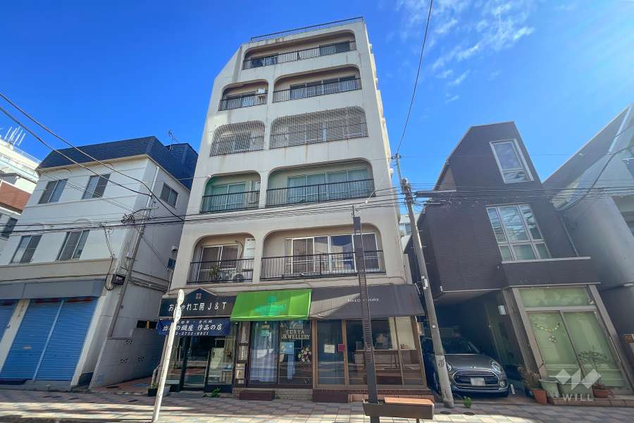 田園ロイヤルハイツの外観（南東側から）