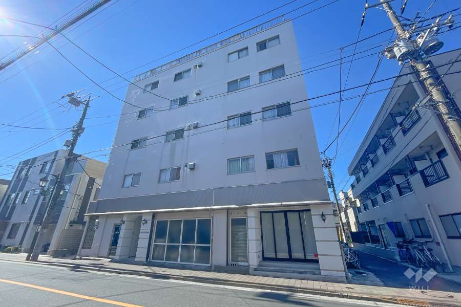 田園調布愛知マンションの外観(北側から）