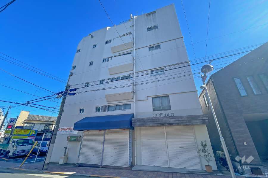 ハイム田園の外観（東側から）