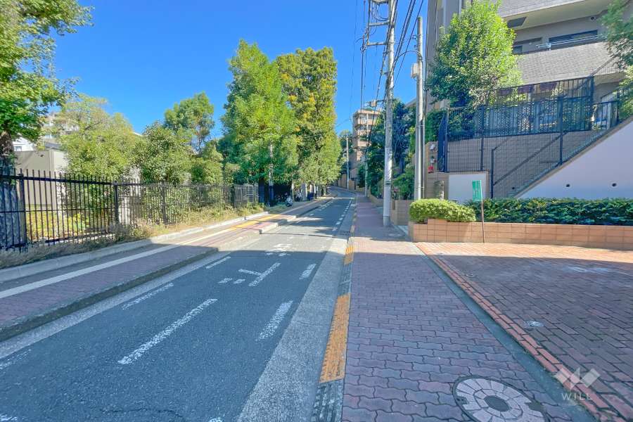 敷地北側の前面道路（西側から）