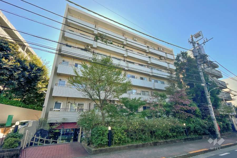 田園調布ハイツの外観（北東側から）