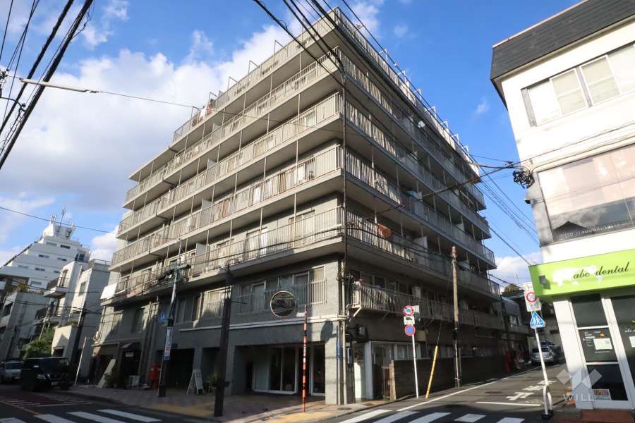 田園アカデミーマンションの外観(南西側から)