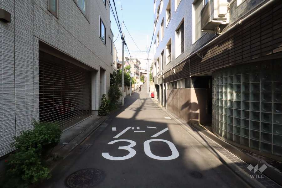 敷地北側の前面道路(西側から)