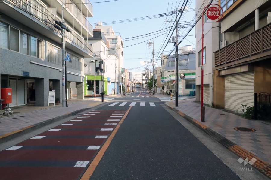 敷地西側の前面道路(北側から)