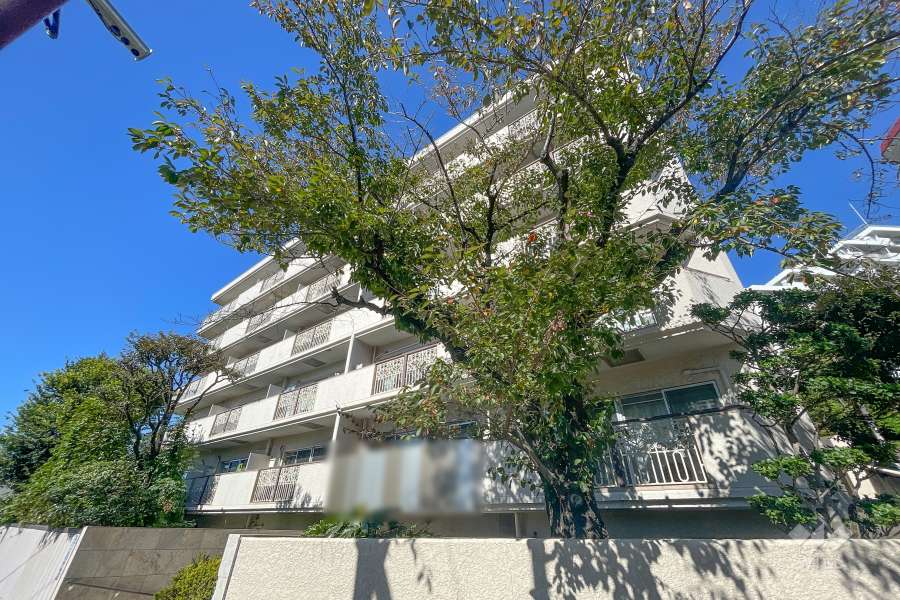ハイホーム田園調布の外観（南東側から）