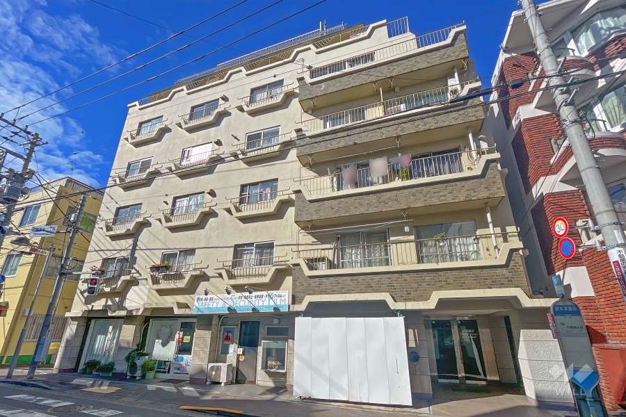 田園調布スカイマンションの外観（北東側から）