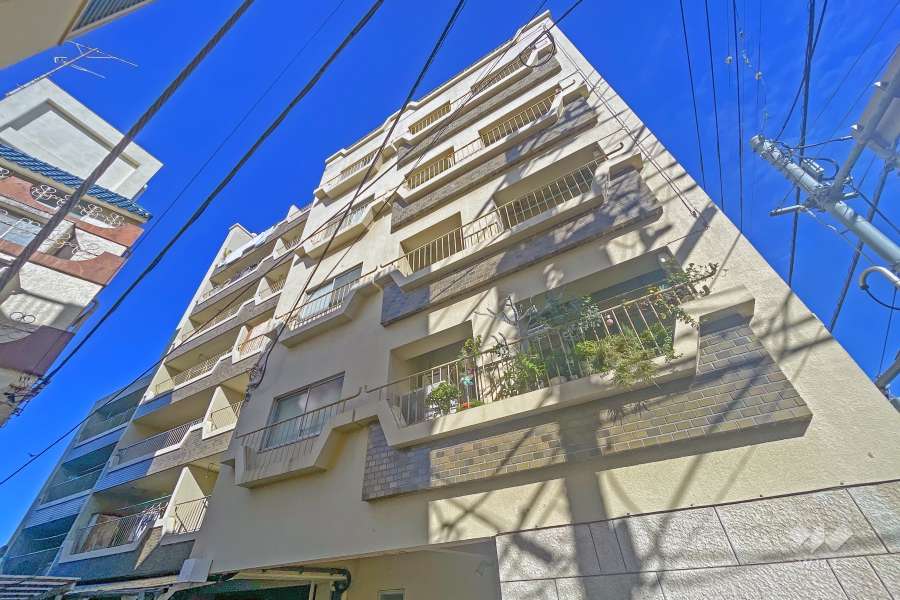 田園調布スカイマンションの外観（南側から）