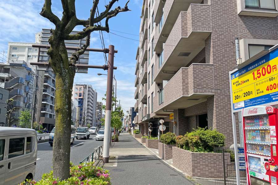 敷地南側の前面道路（東側から）