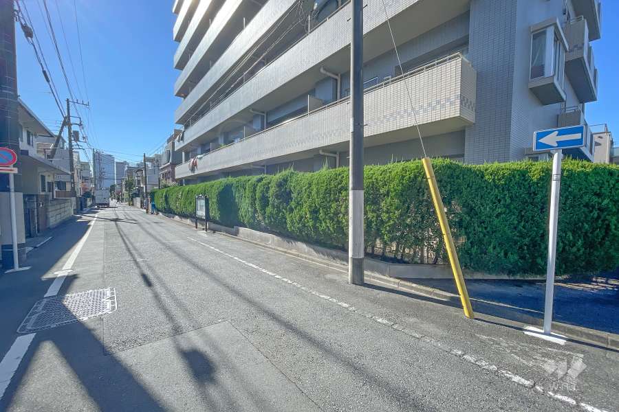 敷地南東側の前面道路