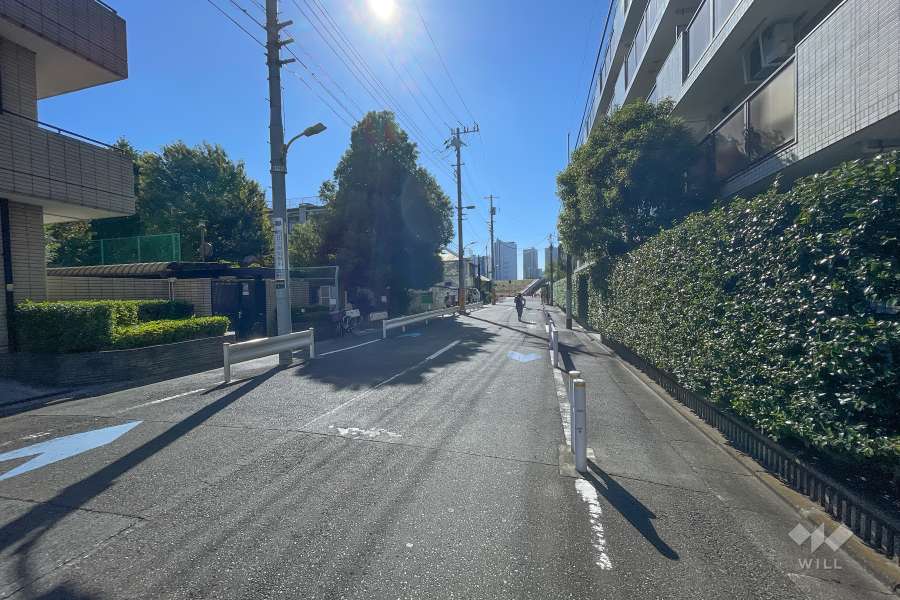 敷地南側前面道路