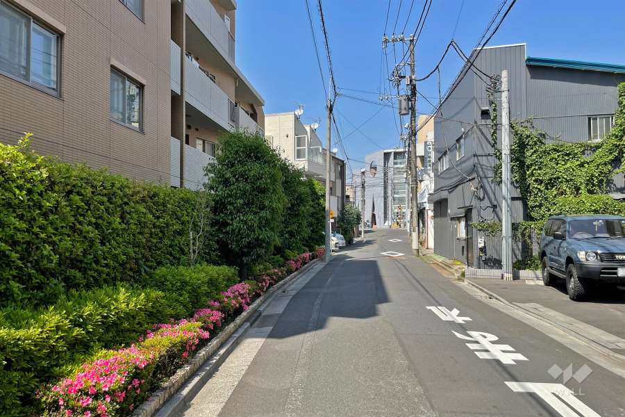 敷地南東側の前面道路（南西側から）
