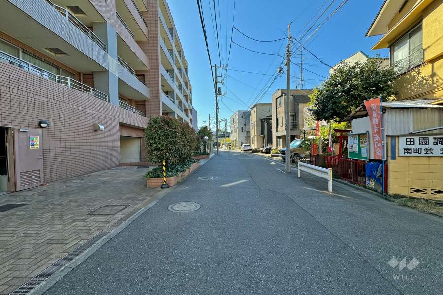 敷地西側の前面道路（北側から）